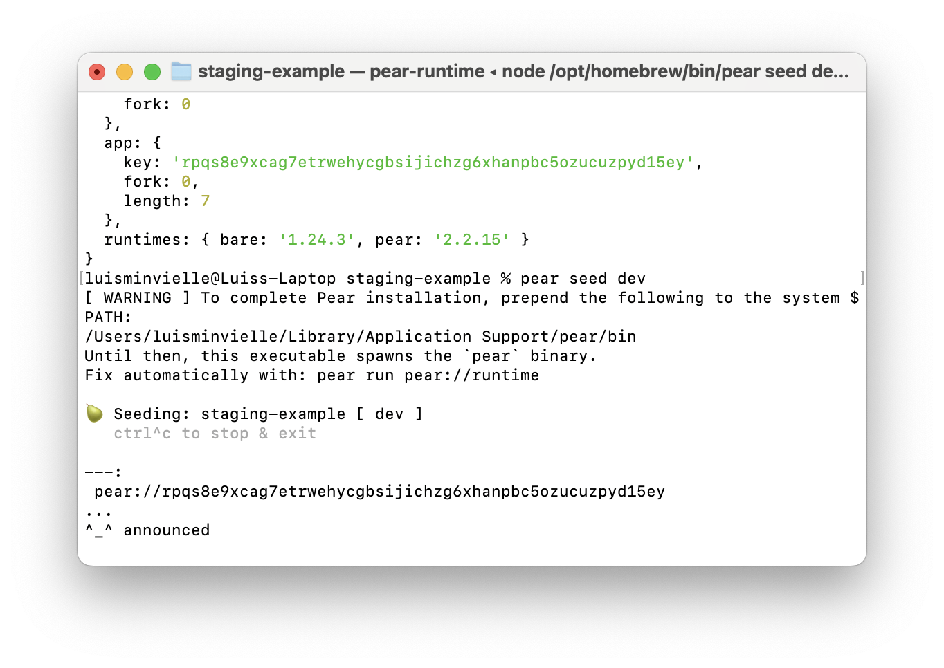 Screenshot: pear seed dev output showing announced